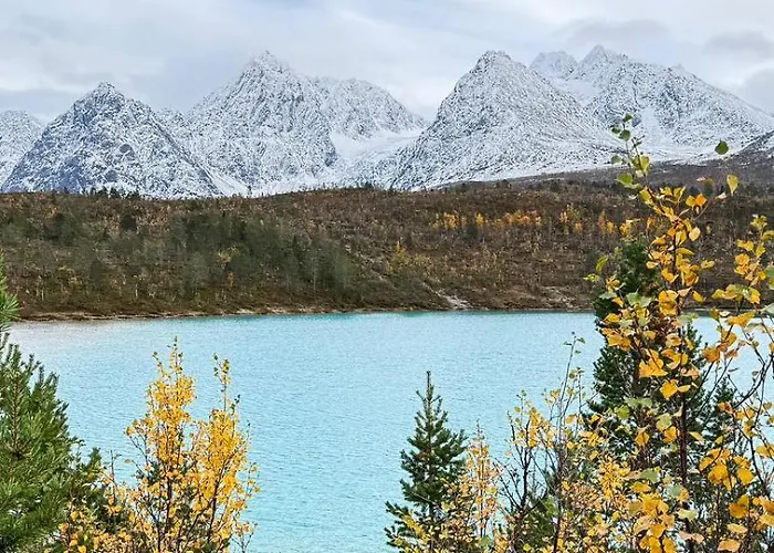 Countryside Tromso- Cozy Glass- Roof Cabins- Aurora Wonderland * Lyngen