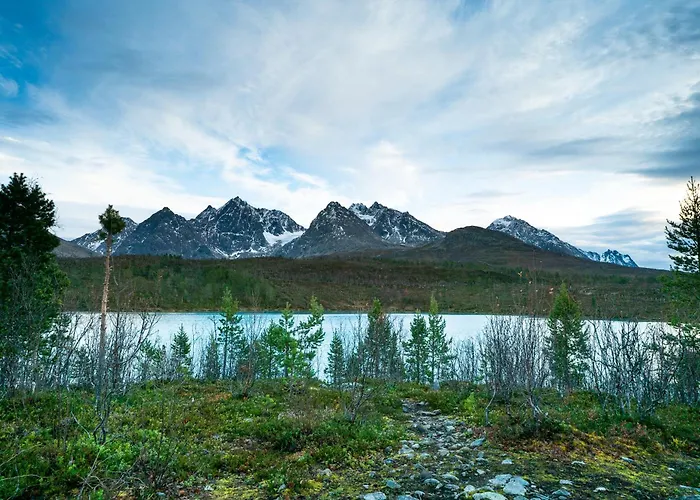 Countryside Tromso- Cozy Glass- Roof Cabins- Aurora Wonderland Κάμπινγκ