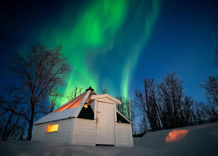 Countryside Tromso- Cozy Glass- Roof Cabins- Aurora Wonderland *