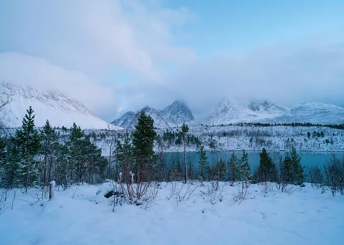 Κάμπινγκ Countryside Tromso- Cozy Glass- Roof Cabins- Aurora Wonderland