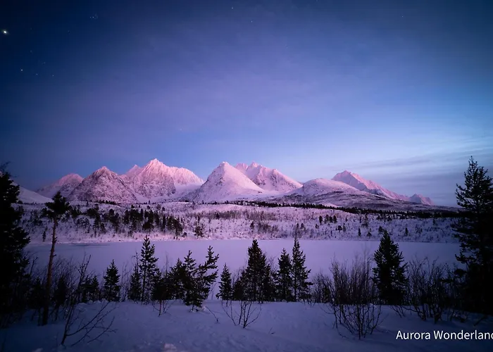 Κάμπινγκ Countryside Tromso- Cozy Glass- Roof Cabins- Aurora Wonderland *