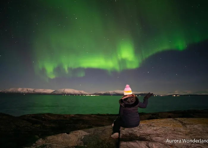 Kamp alanı Countryside Tromso- Cozy Glass- Roof Cabins- Aurora Wonderland *