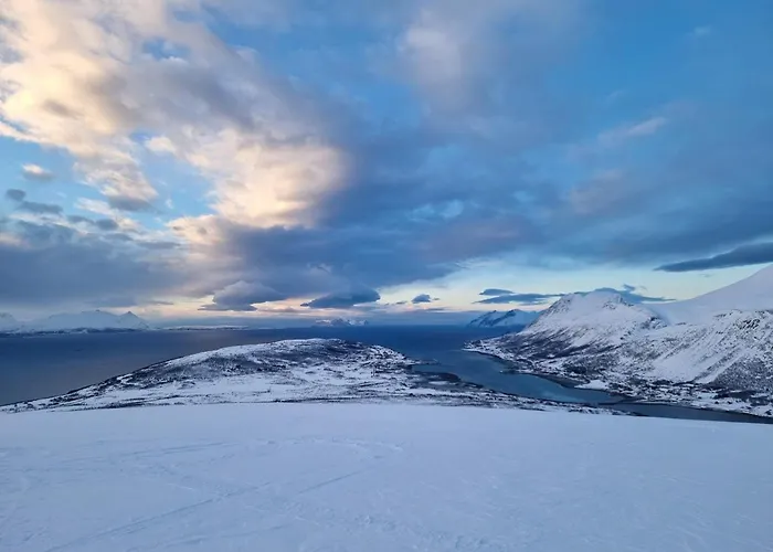 Countryside Tromso- Cozy Glass- Roof Cabins- Aurora Wonderland Kamp alanı Lyngen