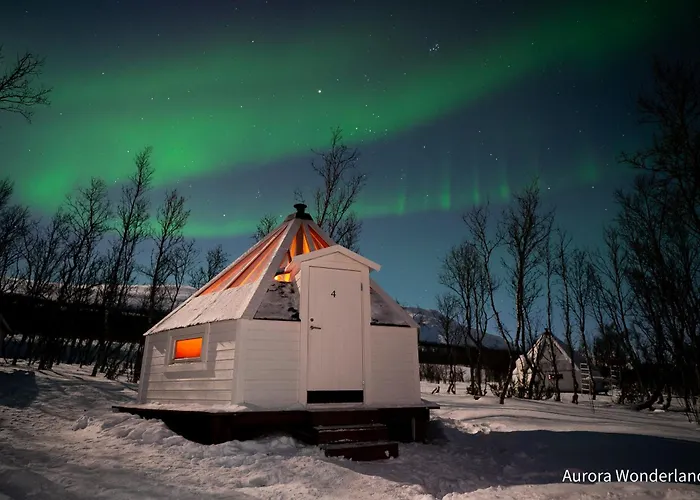 Kamp alanı Countryside Tromso- Cozy Glass- Roof Cabins- Aurora Wonderland