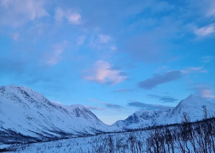 Countryside Tromso- Cozy Glass- Roof Cabins- Aurora Wonderland Kamp alanı