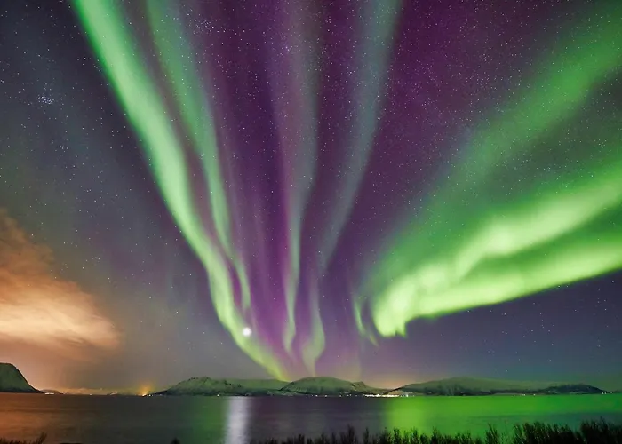 Kamp alanı Countryside Tromso- Cozy Glass- Roof Cabins- Aurora Wonderland *