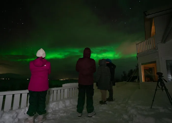 Kamp alanı Countryside Tromso- Cozy Glass- Roof Cabins- Aurora Wonderland *