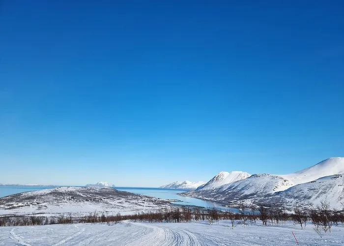 Kamp alanı Countryside Tromso- Cozy Glass- Roof Cabins- Aurora Wonderland Lyngen