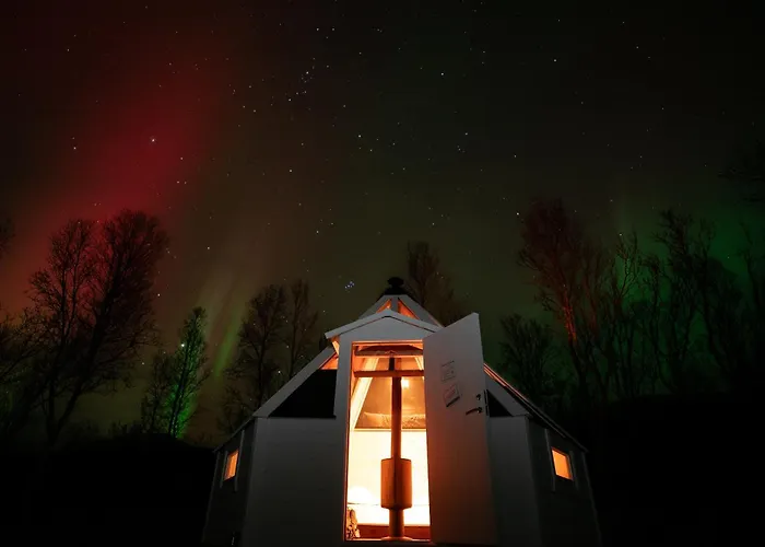 Kamp alanı Countryside Tromso- Cozy Glass- Roof Cabins- Aurora Wonderland