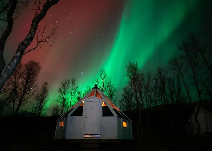 Kamp alanı Countryside Tromso- Cozy Glass- Roof Cabins- Aurora Wonderland Lyngen