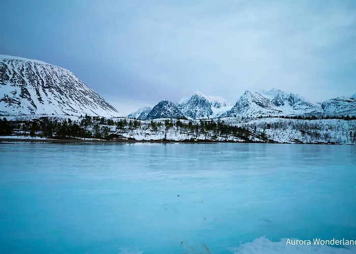 Countryside Tromso- Cozy Glass- Roof Cabins- Aurora Wonderland Kamp alanı Lyngen